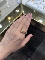 انگشترهای ژاکلین 2
